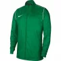Nike RPL Park 20 RN JKT W Vyrų futbolo striukė žalia BV6881 302 S