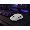 Nubi Mouse NM1 belaidė balta pelė
