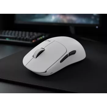 Nubi Mouse NM1 belaidė balta pelė