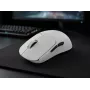 Nubi Mouse NM1 belaidė balta pelė