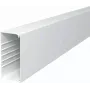 OBO BETTERMANN WDK80170RW sieninis ir lubinis kabelių kanalas 80x170x2000mm PVC gryna balta RAL 9010 6191304