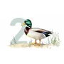 Ollo Cat Pouch No. 2 Duck 85 g - Pilnas šlapias maistas padaže