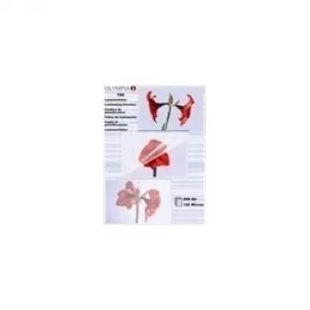 Olympia 9178 A6 laminavimo kišenės permatomos 100 vienetų 80 mikronų