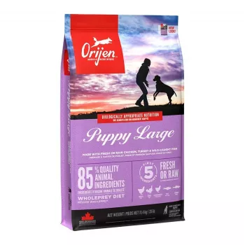 ORIJEN Puppy Large sausas pašaras šunims - 11,4 kg