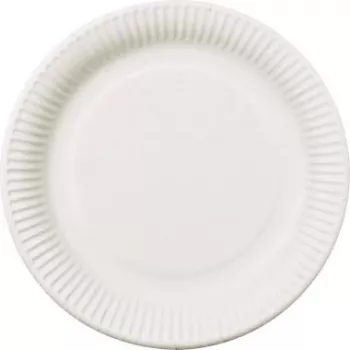 PAPSTAR pure vienkartinė lėkštė apvali 26 cm ypač tvirta balta iš cukranendrių bagaso 50 vienetų 11176