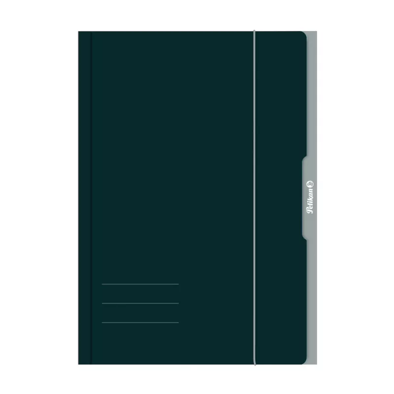 Pelikan 276856 Aplankalas cirkuliacinis A3 kartoninis žalias