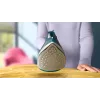 Philips DST2030/90 Garinis lygintuvas - 2000W, nelipnus padas, 270 ml bakelis
