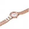 Pierre Cardin Women's Quartz Analog Watch CF.0611.SC.RG - 30mm Rose Gold Stainless Steel Mesh