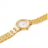 Pierre Cardin Women's Quartz Analog Watch CF.0611.SE.G 30mm Stainless Steel Mesh