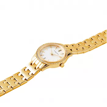Pierre Cardin Women's Quartz Analog Watch CF.0611.SE.G 30mm Stainless Steel Mesh