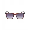 POLICE Vyriški akiniai nuo saulės SPLN34M540878 Havana acetato rėmelis rudi lęšiai 54mm