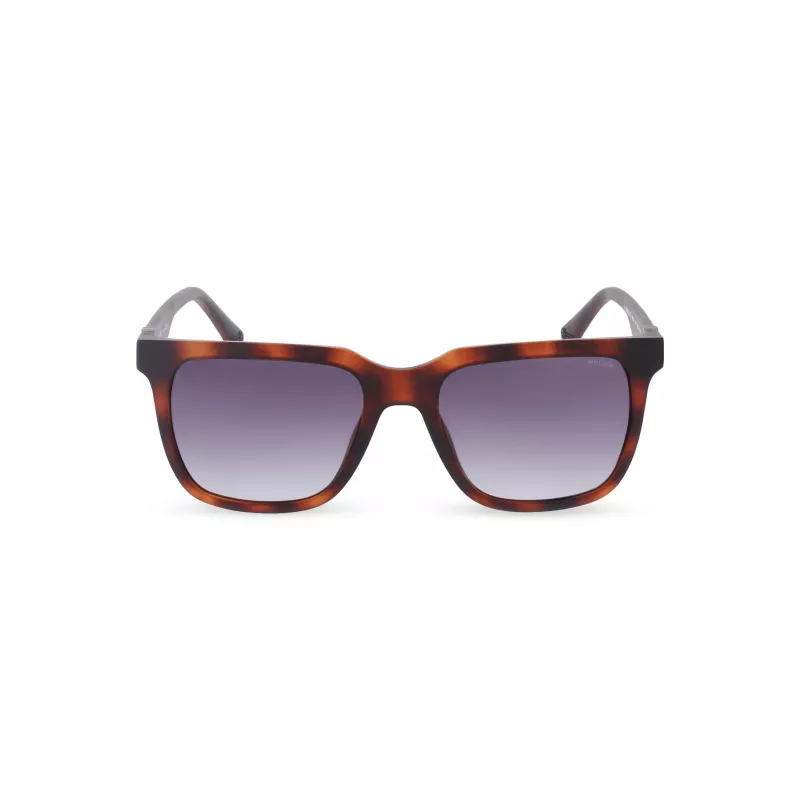 POLICE Vyriški akiniai nuo saulės SPLN34M540878 Havana acetato rėmelis rudi lęšiai 54mm