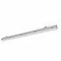 PRACHT CREATIVES LUNA ECO LED juostinis šviestuvas 1.6m 39W 4700lm 4000K IP65 PCO 120°