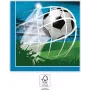 PROCOS Futbolo vakarėlio 2 sluoksnių popierinės servetėlės, 20 vnt., 33x33 cm, žalios/baltos/juodos (93747)