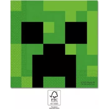 Procos Minecraft vakarėlio 2 sluoksnių popierinės servetėlės, 20 vnt. pakelis (95443)