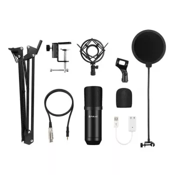 PULUZ PU612B Studio Broadcast Condenser Microphone
