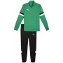 PUMA vyriškas Team Rise treniruočių kostiumas Forest Night / Puma Black, dydis M