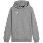 Puma Team Goal Casuals Hoody Sweatshirt Grey 658619 33 140cm