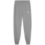 Puma Team Goal vaikiškos kelnės pilkos 658601 33 152cm