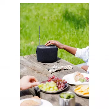 PURE ACOUSTICS Pure Woodland nešiojamas Bluetooth garsiakalbis – 10W, atsparus vandeniui, FM/DAB+ radijas, juodas (253344)