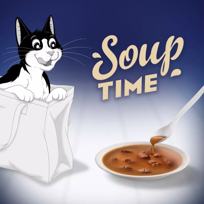 PURINA FELIX Soup Original Country Flavours 6x48g šlapias kačių ėdalas