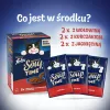 PURINA FELIX Soup Original Country Flavours 6x48g šlapias kačių ėdalas