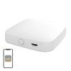 MOES ZHUB-W ZigBee/Wi-Fi šliuzas