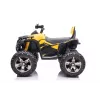 QUAD LOCK Quad Battery Pack su atlošu QLS-3288 LED šviesa MP3 geltona