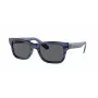 Ray-Ban Billie Sunglasses RB2283 1339B1 Transparent Brown Square Acetate Women's 52mm