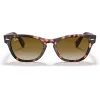 Ray-Ban Frank Square Sunglasses RB2201 133451 54/17/145 mm