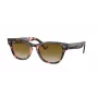 Ray-Ban Frank Square Sunglasses RB2201 133451 54/17/145 mm