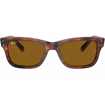 Ray-Ban Frank Unisex akiniai nuo saulės RB22839543355 Havana Brown 52mm