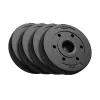 REBEL ACTIVE Bitumininis svorių rinkinys 4x5kg, 51mm anga - olimpinėms štangoms