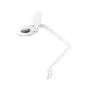 REBEL Patikros lempa su didinamuoju stiklu 5D 8W (60 SMD) - Balta