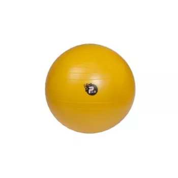 REHA FUND PILO-1045 Reabilitacinis kamuolys ABS 65 cm sidabrinis/pilkas