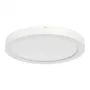 RIDI SARA220 LED įleidžiamas šviestuvas 22W 2200lm 4000K IP20 D217mm