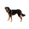 Ruffwear Front Range petnešos XS - River Rock Green