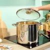 Russell Hobbs RH03801EU7 Classic Collection 26 cm 11.5L Stockpot, Nerūdijantis Plienas