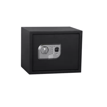 SAFE SP-25ELG 350x250x250