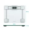 Salter 9081 SVFEU12 stiklinės elektroninės vonios svarstyklės, sidabrinė/skaidri