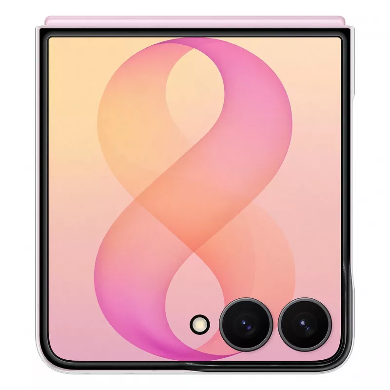 Samsung Clear Case, skirtas Galaxy Z Flip8 - permatomas