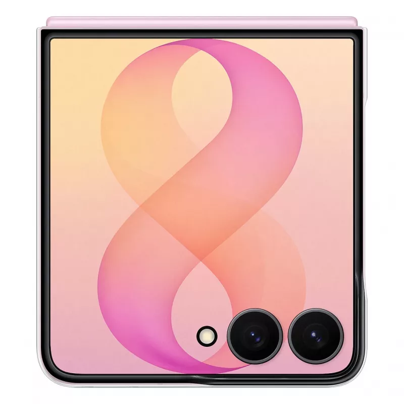 Samsung Clear Magnet Case, skirtas Galaxy Z Flip8, permatomas