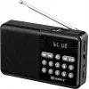 SANDBERG Speaker Radio FM+BT Recharge nešiojamas Bluetooth garsiakalbis su FM radiju, AUX, USB, MicroSD, 6W, juodas