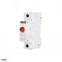 SCHELINGER A15-SL8-CZ raudonas LED signalinis žibintas, 230V AC, 22mm skydelio montavimui, IP65