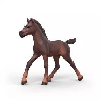 Schleich Horse Club Collectible Foal Ravi
