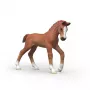 Schleich Horse Club Collectible Foal Ruby