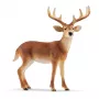 Schleich WILD LIFE 14818 Miško gyvūnų figūrėlių rinkinys – 4 vnt. – Įvairiaspalvis – 3+ metai