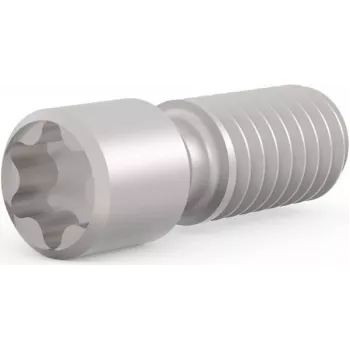 SCHROFF Nustatomasis varžtas M2.5 x 9 mm Torx T8, plieninis, 100 vnt. (21102980)