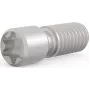 SCHROFF Nustatomasis varžtas M2.5 x 9 mm Torx T8, plieninis, 100 vnt. (21102980)