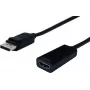 SECOMP STANDARD DisplayPort į HDMI adapteris, v1.2, DP male į HDMI female (S3204)